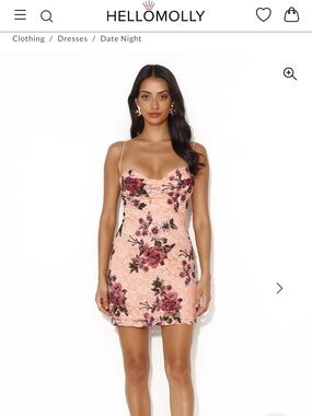 Hello Molly Blush Pink Rose Lace Mini Dress